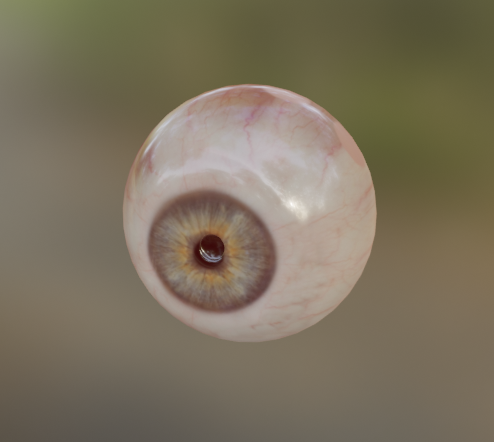 Modelled Eye with Textures Applied